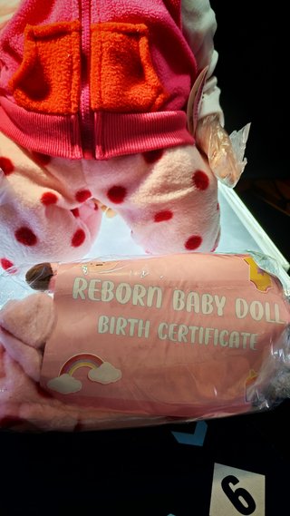 Muñeca Reborn Auténtica con Certificado y caja