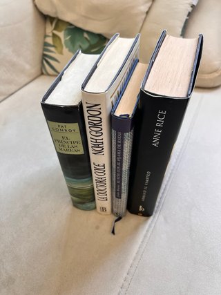 Lote de libros lectura