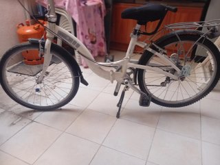 Bicicleta Dahon 24 pulgadas de aluminio y su propi