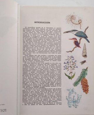 Enciclopedia Ciencias Naturales EGB BUP COU