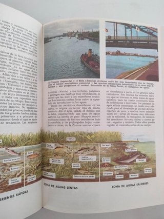 Enciclopedia Ciencias Naturales EGB BUP COU