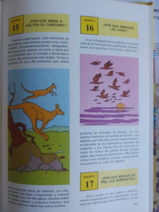 Libro, Una pregunta para cada día.