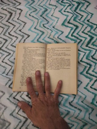 Libro TipyColl-Orgia