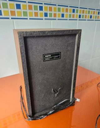 Altavoces Sanyo Marrones y Negros