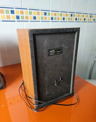Altavoces Sanyo Marrones y Negros