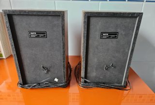 Altavoces Sanyo Marrones y Negros
