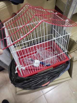 Jaula para pájaros blanca y roja