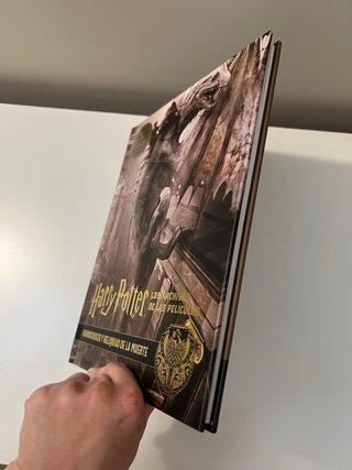 Harry Potter: Horrocruxes y Reliquias de la Muerte