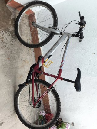 Bicicleta Togano Panther