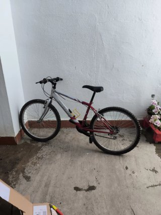 Bicicleta Togano Panther