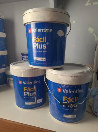 Botes Pintura Valentine Fácil Plus (Empezados)