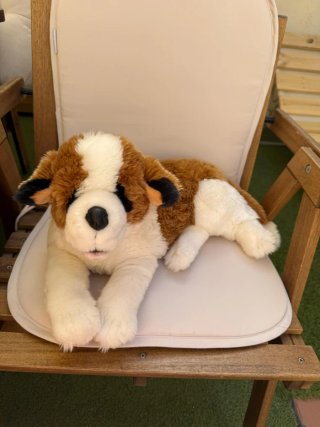 Peluche San Bernardo con Sonido