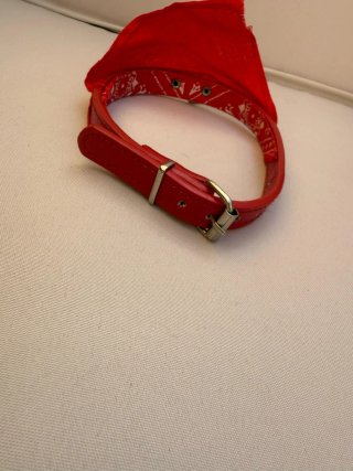Collar perro rojo bandana cuero sintético