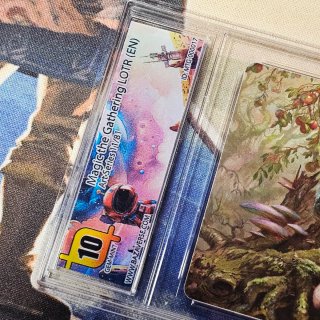 Magic The Gathering LOTR Carta Gradata 10