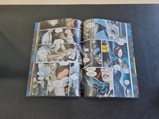 CÓMIC BATMAN: LA FE DEL MIEDO - NÚMERO 41