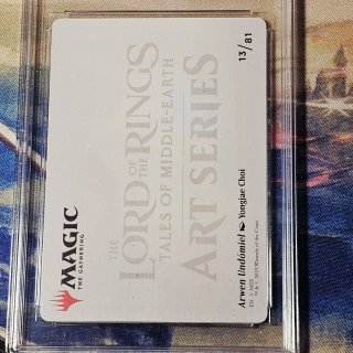 Magic The Gathering LOTR (EN) Graduata 10
