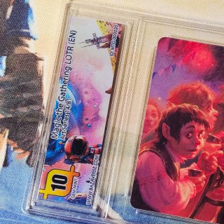Magic The Gathering LOTR (EN) Graduata 10