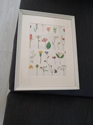 Cuadro Ikea Flores y Hojas