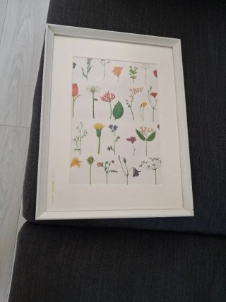 Cuadro Ikea Flores y Hojas