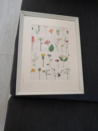 Cuadro Ikea Flores y Hojas