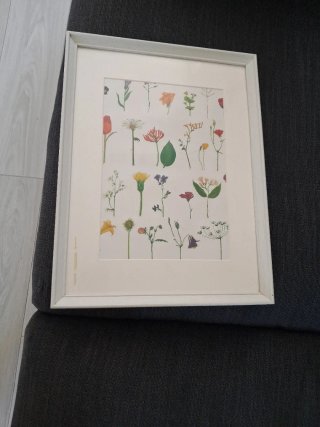 Cuadro Ikea Flores y Hojas