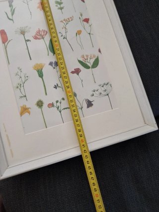 Cuadro Ikea Flores y Hojas