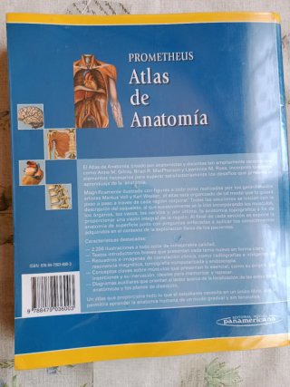 Atlas de anatomia/ Atlas of Anatomy Prometheus