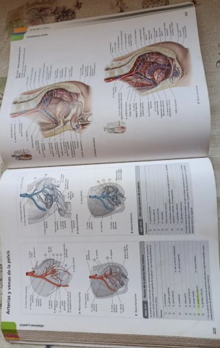 Atlas de anatomia/ Atlas of Anatomy Prometheus