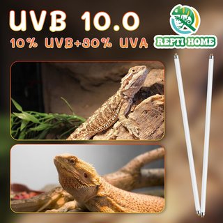Lámpara UVB T5 Repti Home 24W