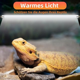Lámpara UVB T5 Repti Home 24W