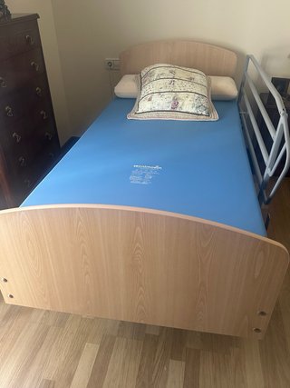 Cama geriátrica articulada, con carro elevador TEC