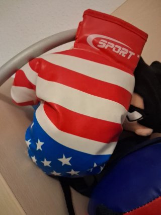 Saco de boxeo y guantes USA