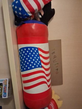 Saco de boxeo y guantes USA