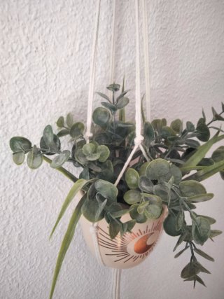 Conjunto Maceta Colgante Planta Decorativa