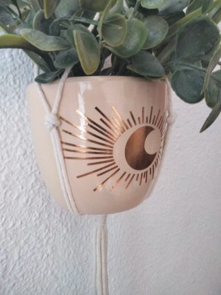 Conjunto Maceta Colgante Planta Decorativa