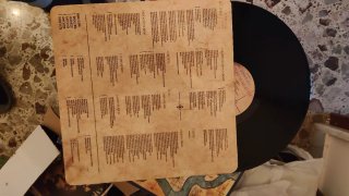 LP Duran Duran Seven and the Ragged Tiger