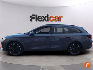 Cupra León SP 1.5 eTSI 110kW (150CV) DSG