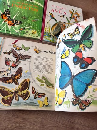 Enciclopedia ilustrada infantil antigua