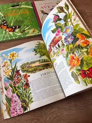 Enciclopedia ilustrada infantil antigua
