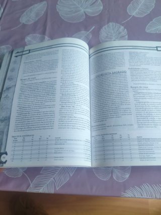Defensores de la Fe D&D 3ª Edición