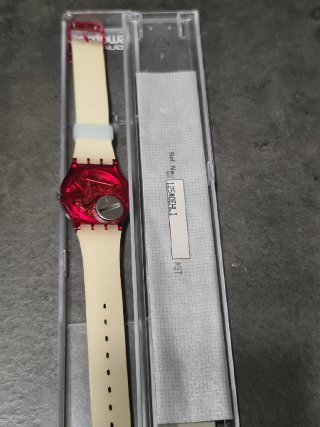 Swatch Gent Delhi GX125