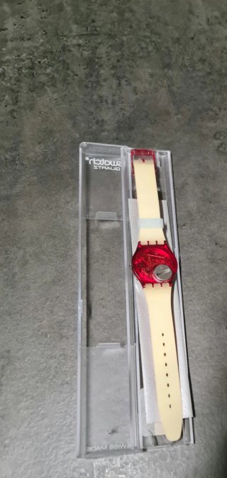 Swatch Gent Delhi GX125