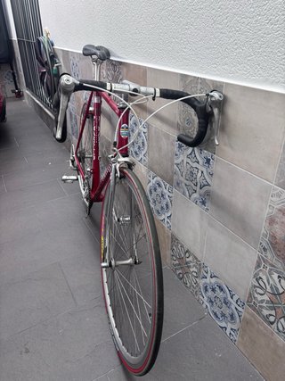Bicicleta Pinarello Montello Clásica