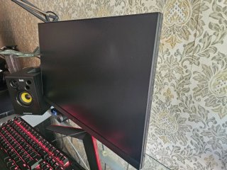 Monitor Gaming LG 24GN600