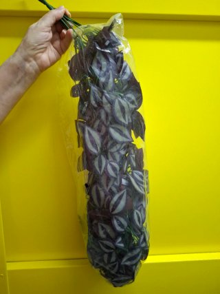 Planta colgante artificial morada y verde