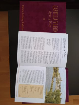 Libros de Castilla y León, Ayer y Hoy.
