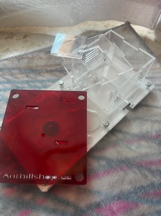 Hormiguero Anthillshop Rojo y Transparente