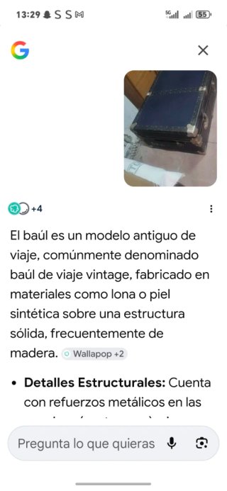 Baúl antiguo decorativo vintage de piel LOMA