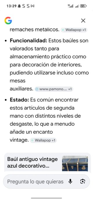 Baúl antiguo decorativo vintage de piel LOMA