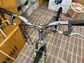 Bicicleta Monty Cromada